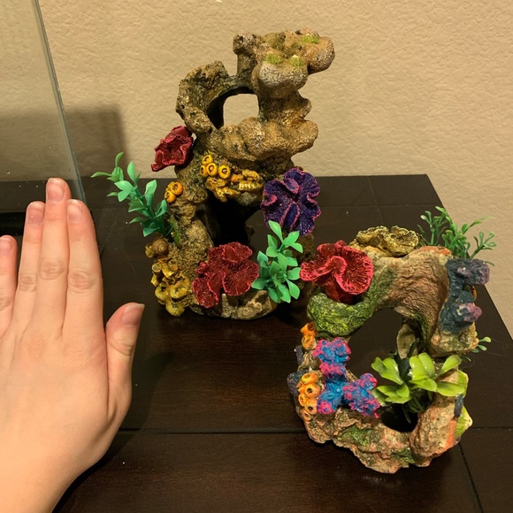 Aquarium - Picture 2 of 8